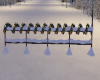 Snowy Fence