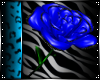 [C] Anna's Blue Rose