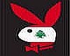 ~Lebanese playboy bunny~