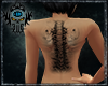 [H.A]tattoo spine