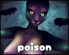 poison ☣  paws