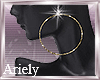 Gold Thin Hoops