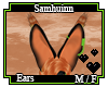 Samhuinn Ears