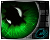 [fb] Emerald Starry Eyed