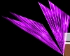 Purple Laser Light Anmtd