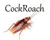 CockRoach