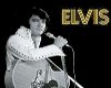Elvis 17