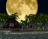 Private island at night