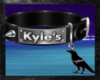Kyle's Collar Callum