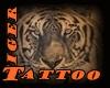 [cy] TIGER TATTOO
