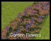 *Garden Flowers