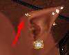 Stem L Gold Ear Spike