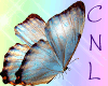 [CNL]Filler butterfly 8