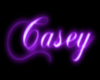 Casey Neon Flashing Sign