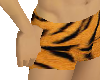 Tiger Print Men swimsuit