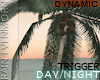 Day/Night Single Palm