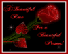 QT~Beautiful Rose Gift