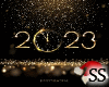 2023 NEW YEAR RD SS