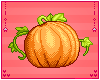 !:: Pumpkin 2