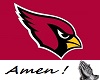 Cardinals NFL Jersey (M)