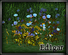 (ED1)Flowers-1