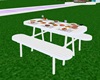 Picnic Table
