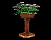 Floral Pedestal w Pose