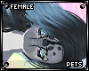 [Pets] Bini | hair v1