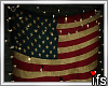 ○American flag