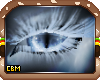 CBM Dusk Lashes Set