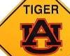 Tiger Xing Auburn Fan!