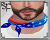 SF 4th of july scarf