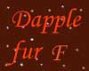 Dapple Fur  F