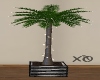 Indoor Palm Tree wLights