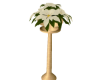 Poinsettia on a Pillar