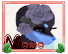 Momo Ha's Side Roses