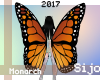 S| Monarch Wings