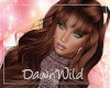 Qaycelin Henna Bangs