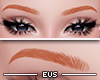 ⛧ Eyebrows Copper