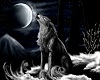~JDS~ Beautiful Wolf