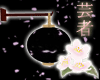 Falling Sakura Lantern
