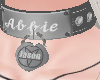 Abbie's collar