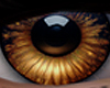 eye icon