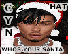 Whos Your Santa Hat