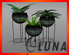 Animal Print Planters