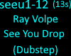 Ray Volpe - See You Drop
