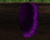 [69]purple wings
