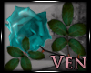 [v]Teal Roses