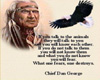 native wisdom