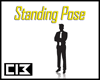 ~3 Standing Pose